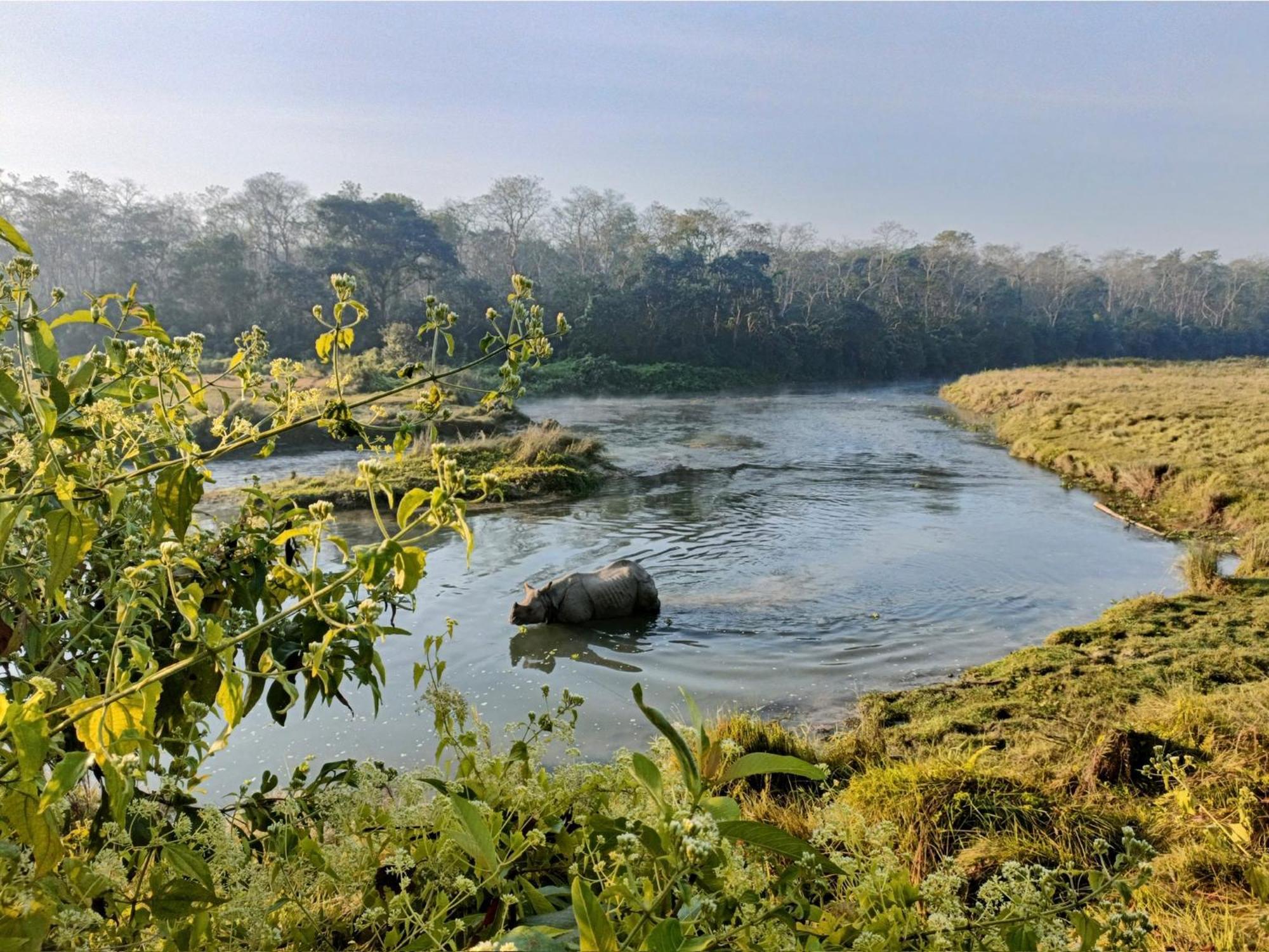 Hotel Tharu Garden And Beer Bar Chitwan Exterior foto