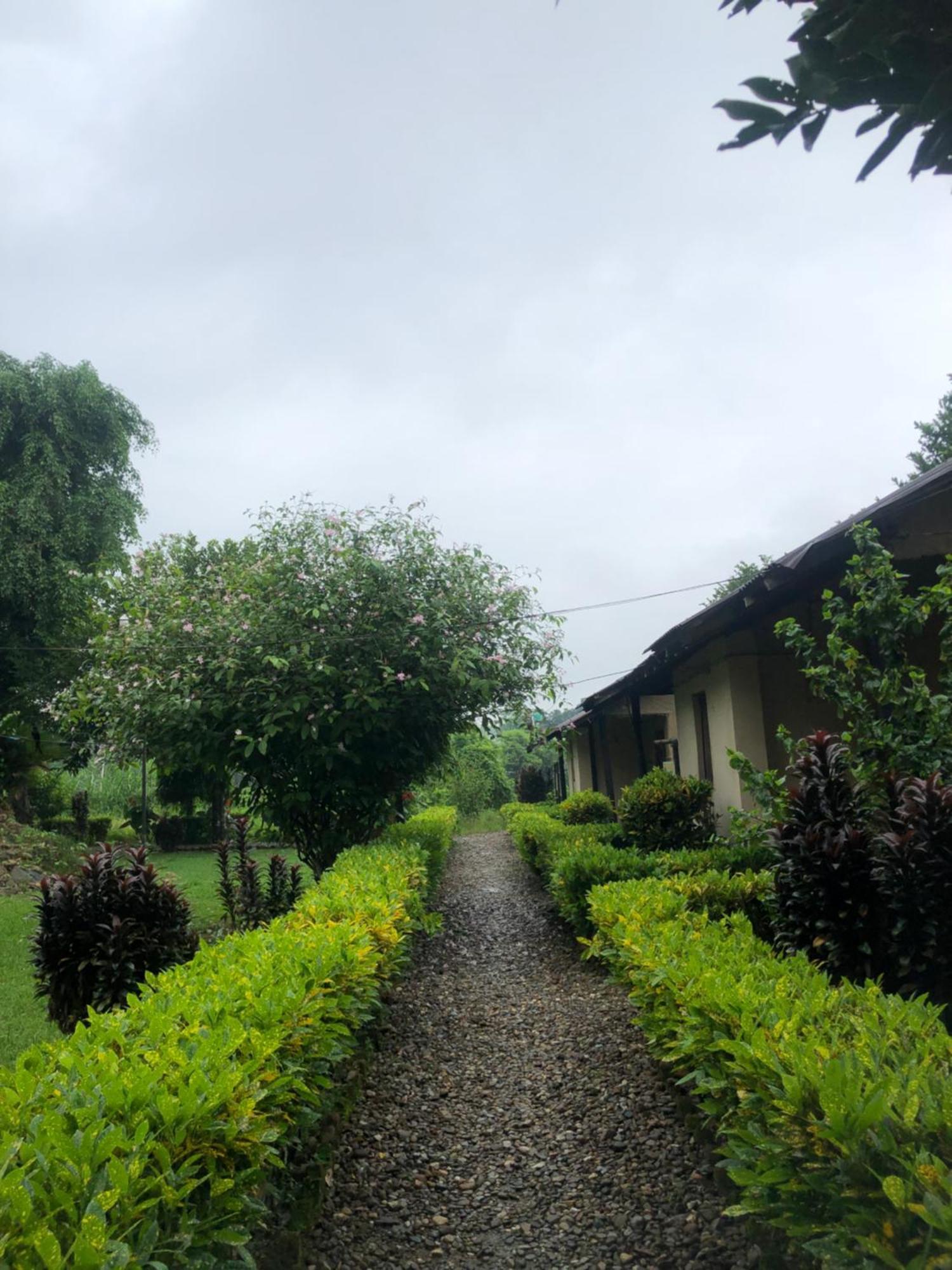 Hotel Tharu Garden And Beer Bar Chitwan Exterior foto